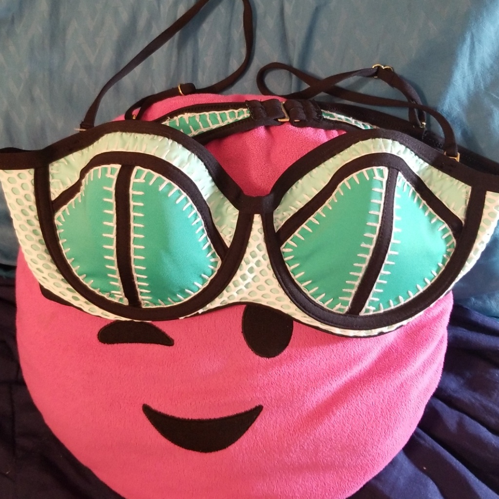 Whip It Good Bikini Top From Bar Iii
